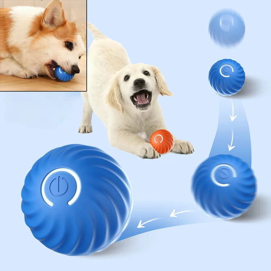 BouncyPaw Smart Dog Ball – Jouet à mâcher interactif alimenté par USB