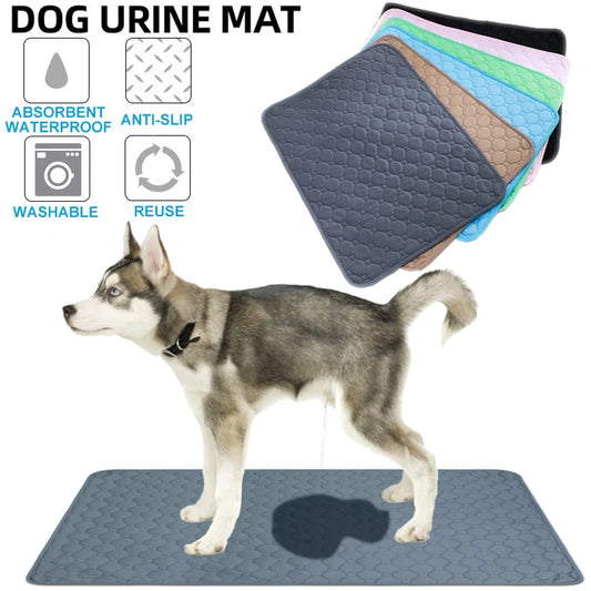 PawGuard Reusable Dog Pee Pad – Stop the Mess and Save Money! 🐾💰