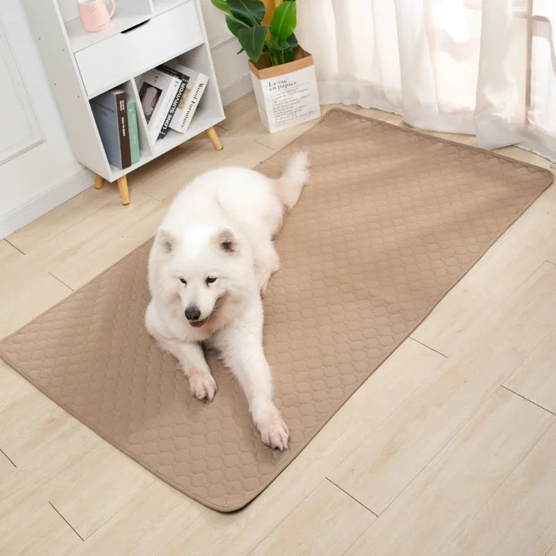 PawGuard Reusable Dog Pee Pad – Stop the Mess and Save Money! 🐾💰