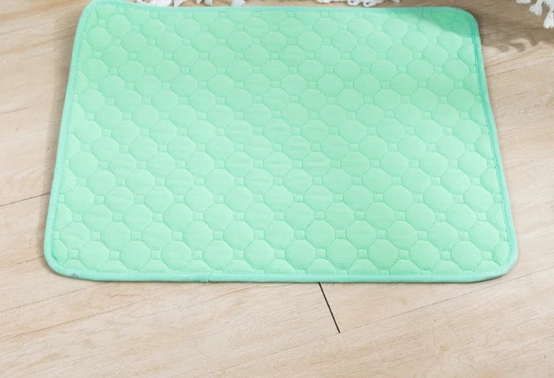 PawGuard Reusable Dog Pee Pad – Stop the Mess and Save Money! 🐾💰