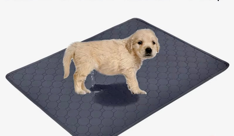 PawGuard Reusable Dog Pee Pad – Stop the Mess and Save Money! 🐾💰